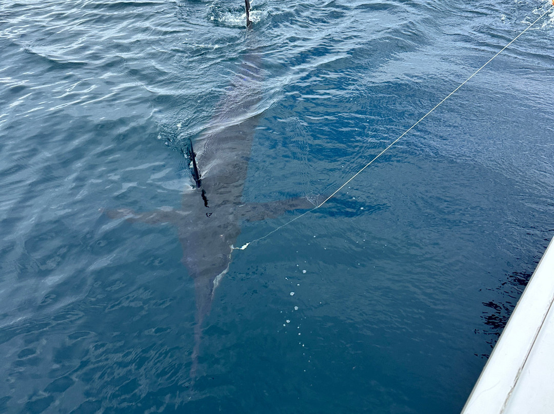 Cebaco Bay Sportfishing-Isla de Coiba必去景点