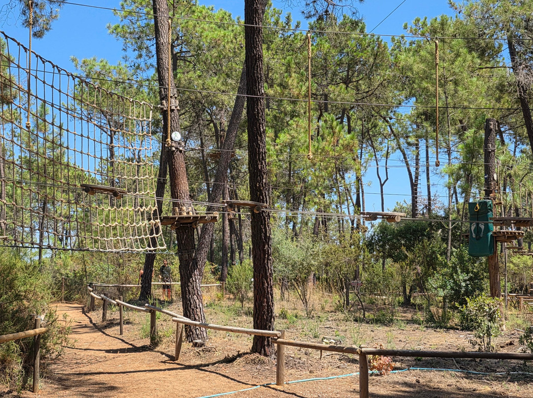 Aventura Amazonia Marbella-太阳海岸必去景点