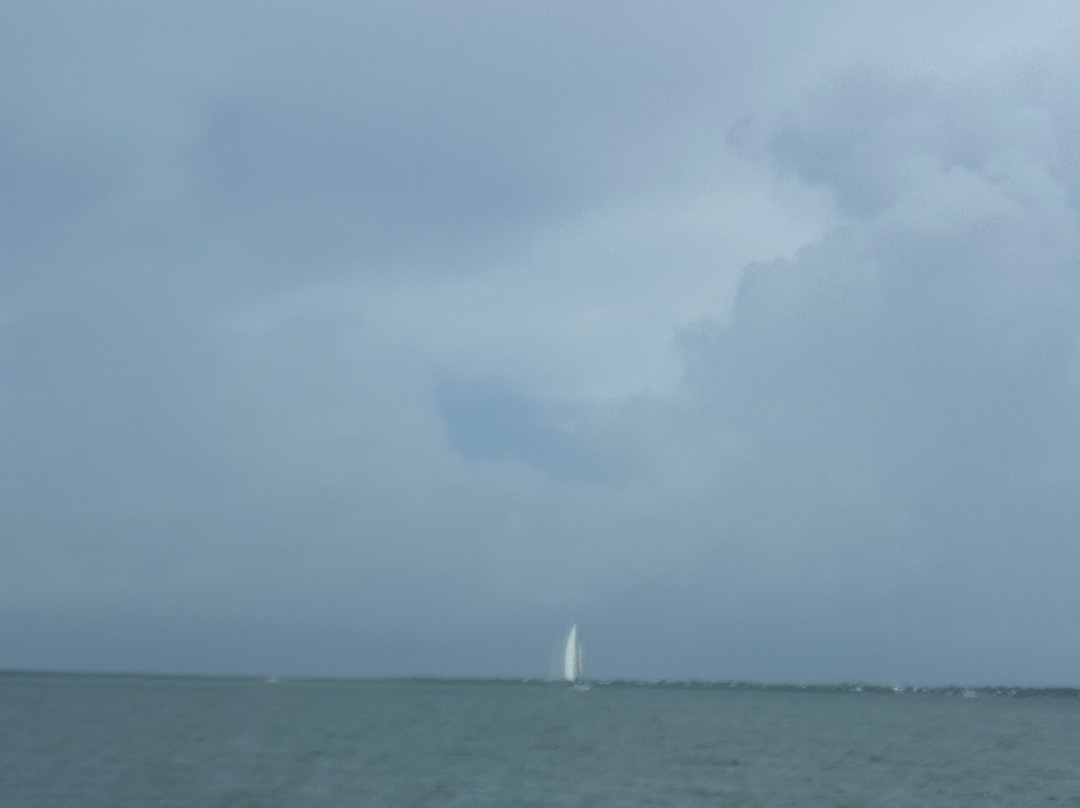 Islander Girl Snorkel &Tours-Tavernier必去景点