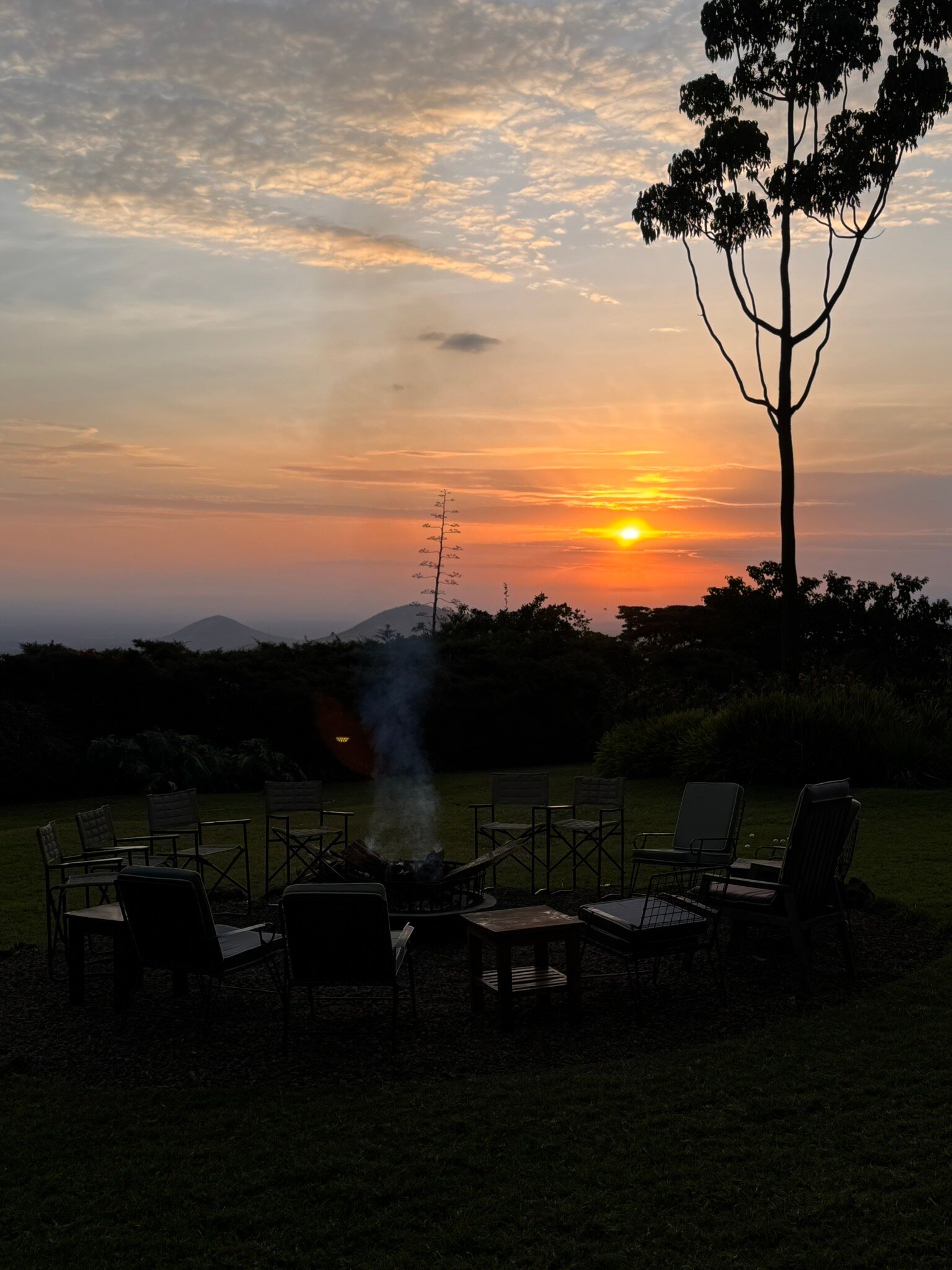 Simba Farm Lodge-官方