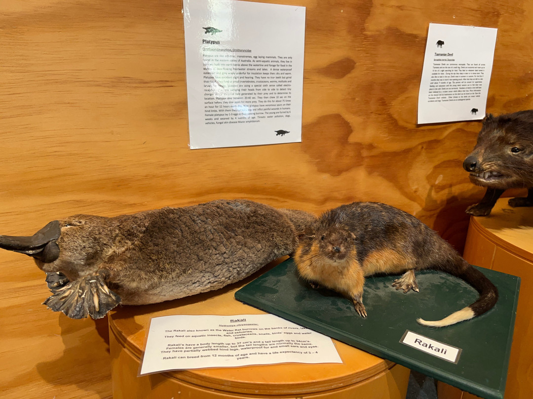 Lake St Clair Visitor Centre-摇篮山圣克莱尔湖国家公园必去景点