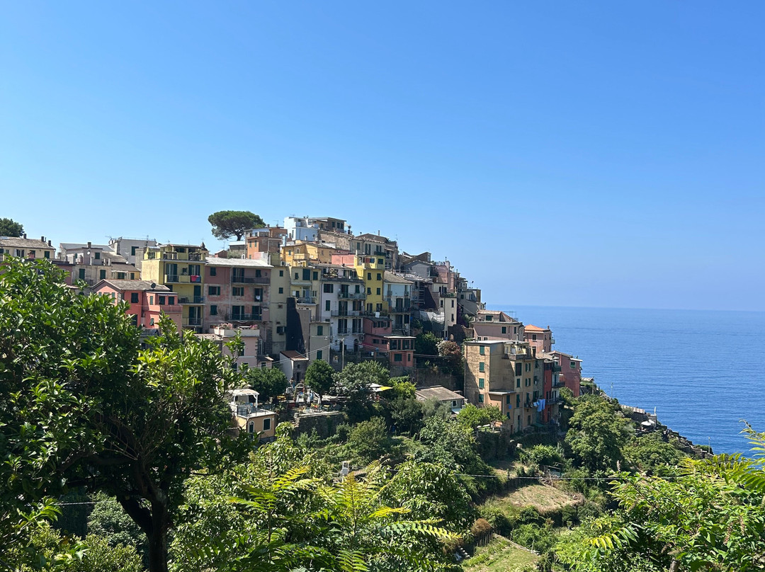 Sole Terra Mare主图