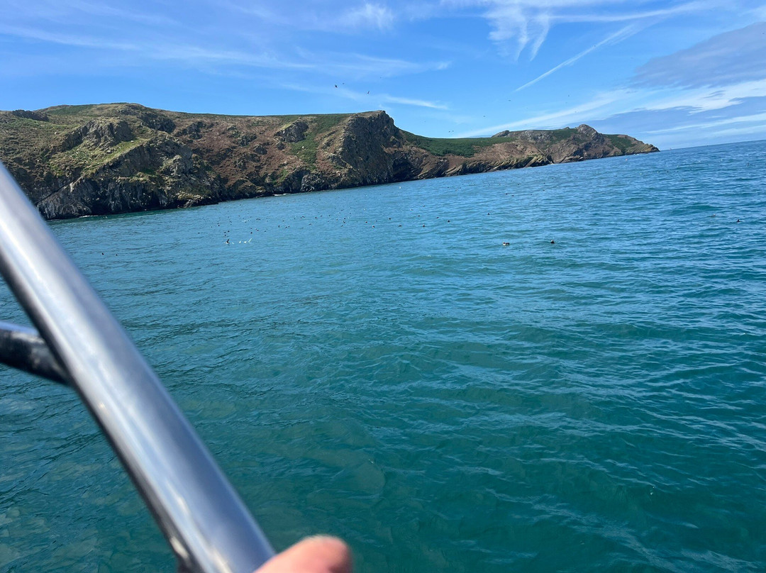 Pembrokeshire Islands Boat Trips-Marloes必去景点