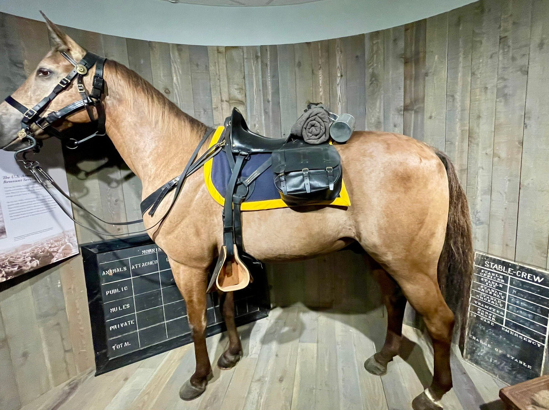 US Cavalry Museum-Fort Riley必去景点