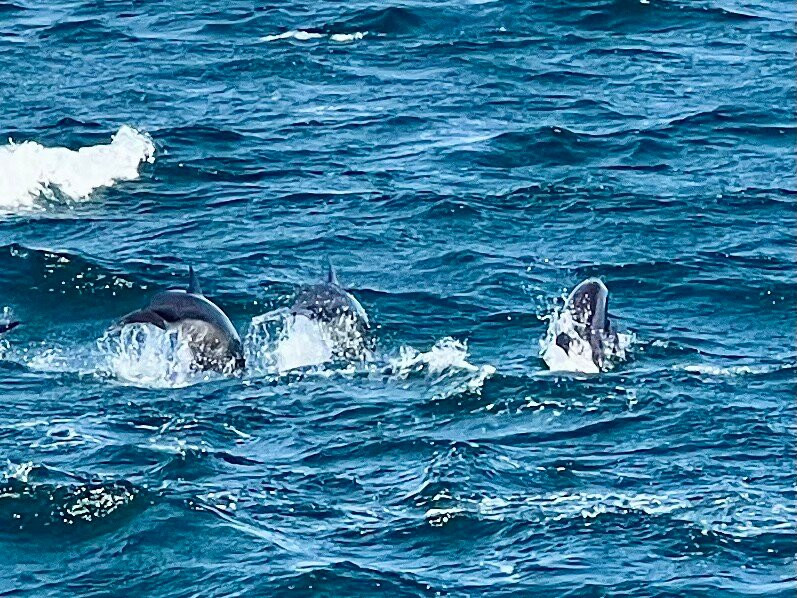 Sail Lanka - Trincomalee-Trincomalee必去景点