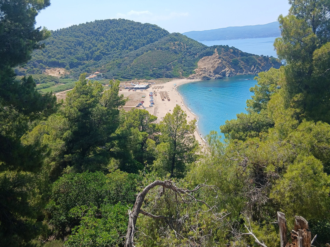 Megalos Aselinos Beach-斯亚索斯必去景点