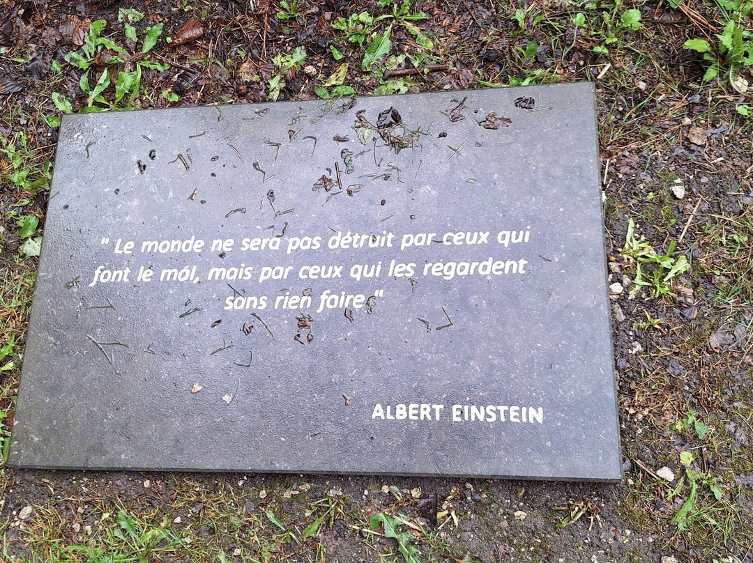 Brûly-de-Pesche 1940-Couvin必去景点