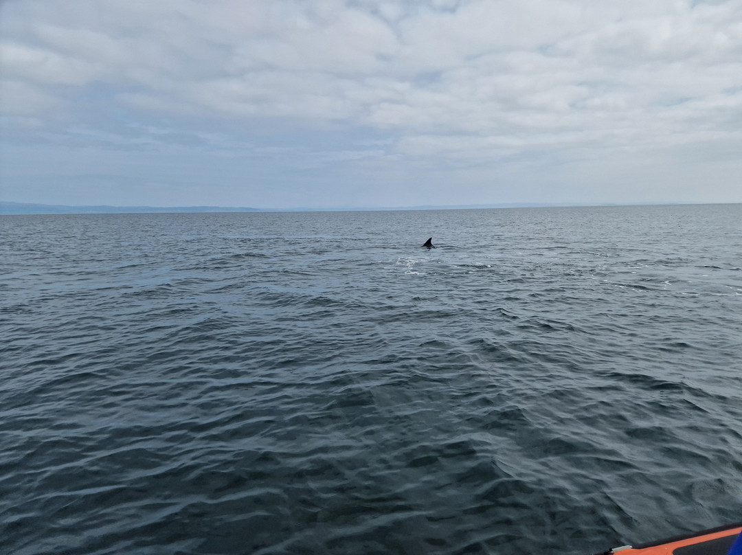 Jura Boat Tours-Isle of Jura必去景点