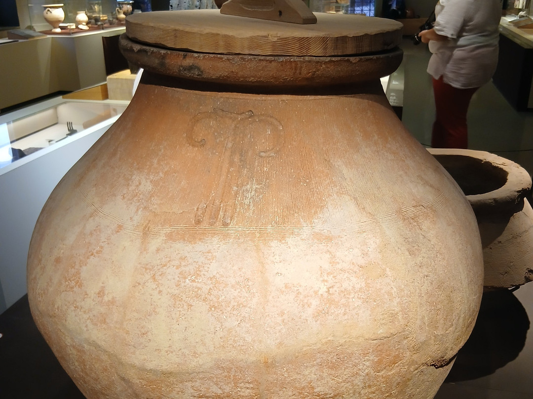 Ensérune - Oppidum et Musée Archéologique-Nissan-lez-Enserune必去景点
