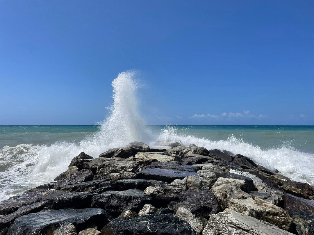 多利亚酒店主图