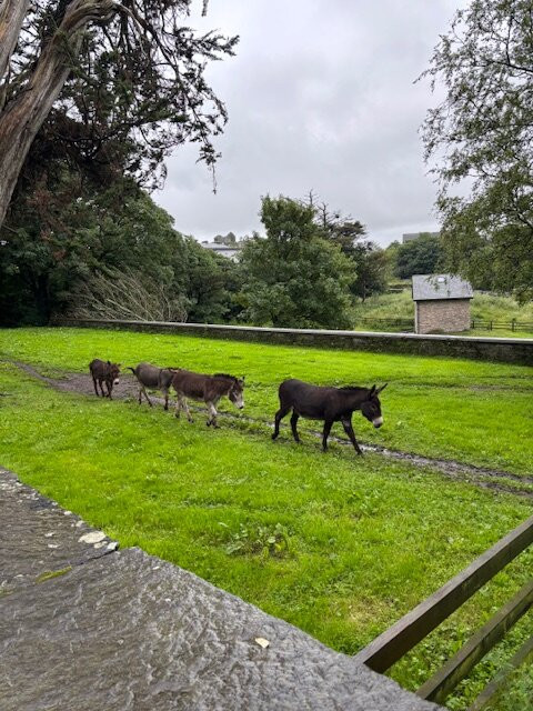 Falls Hotel & Spa主图