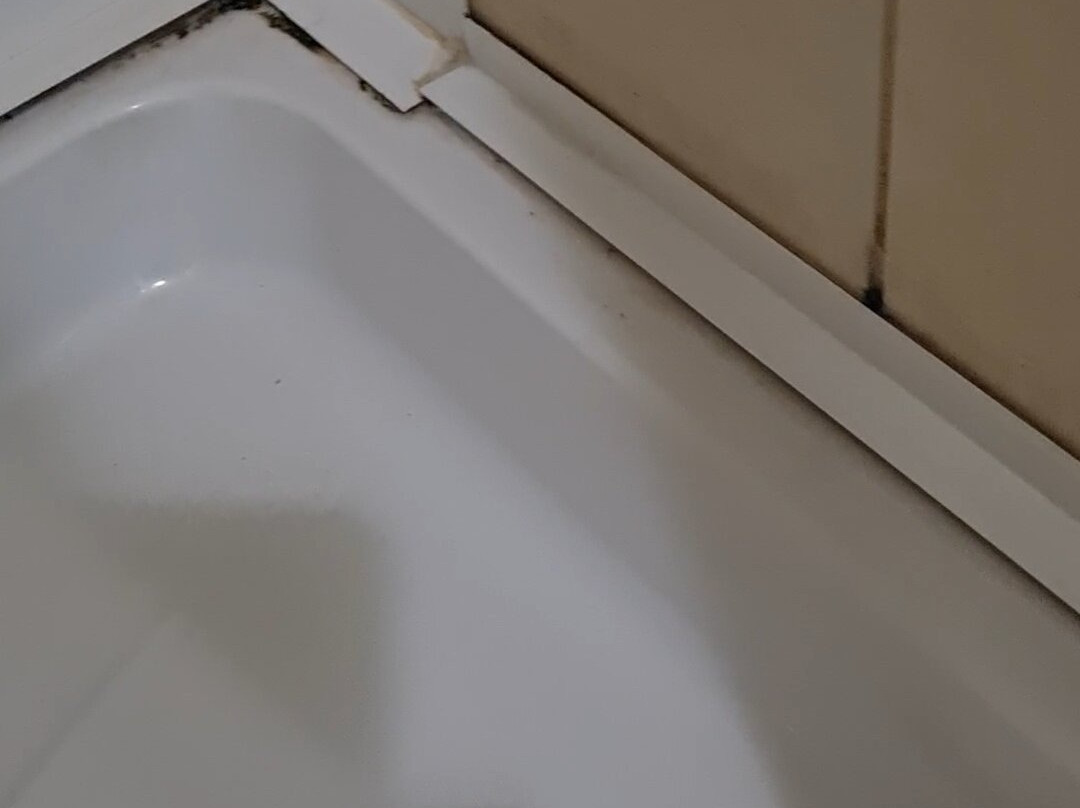 风铃草酒店主图