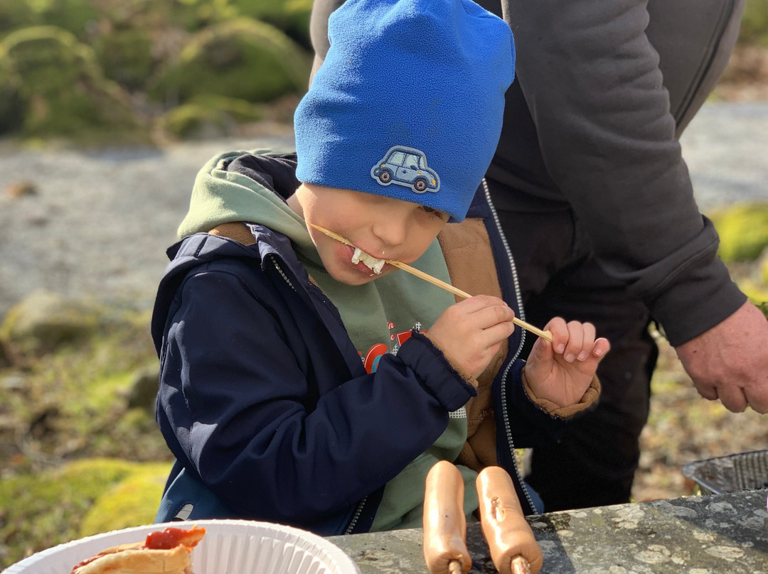 Steinparken-Rosendal必去景点