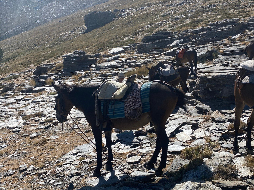 Equi-libre Sierra Nevada-Laroles必去景点