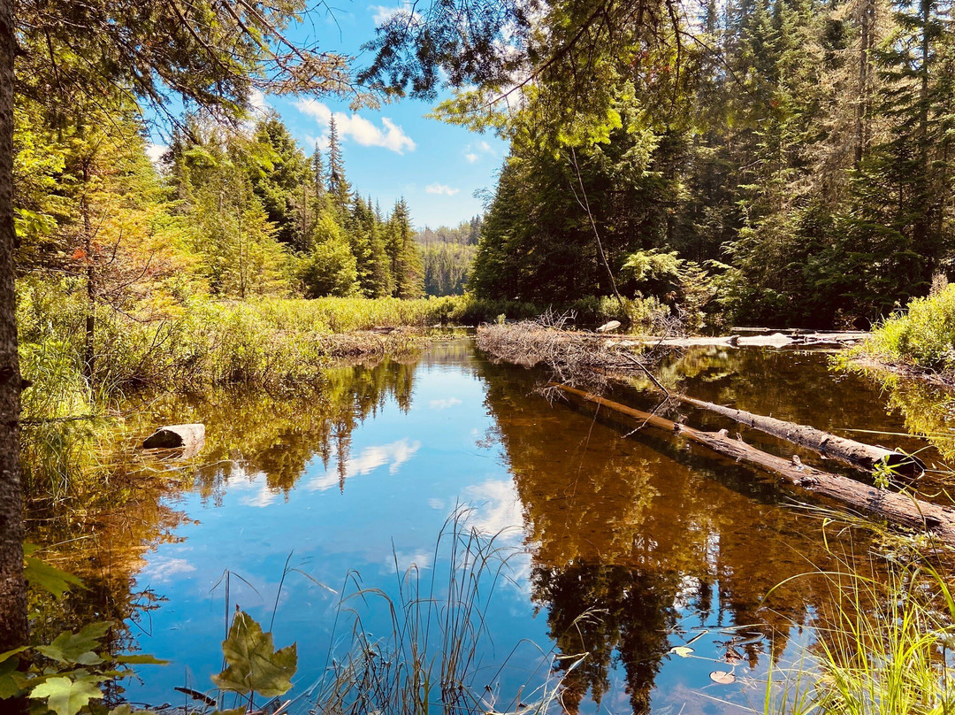 Parc national du Canada de la Mauricie-Saint-Jean-des-Piles必去景点