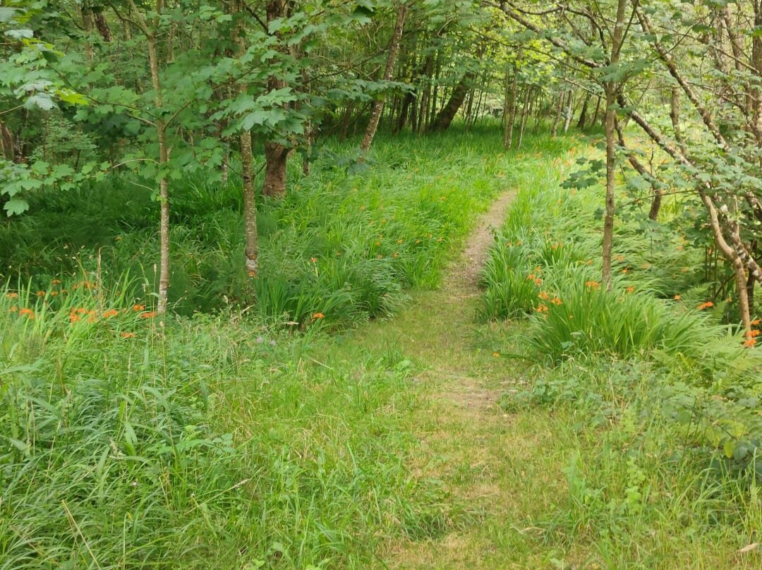 Camin Encantau-利亚内斯必去景点