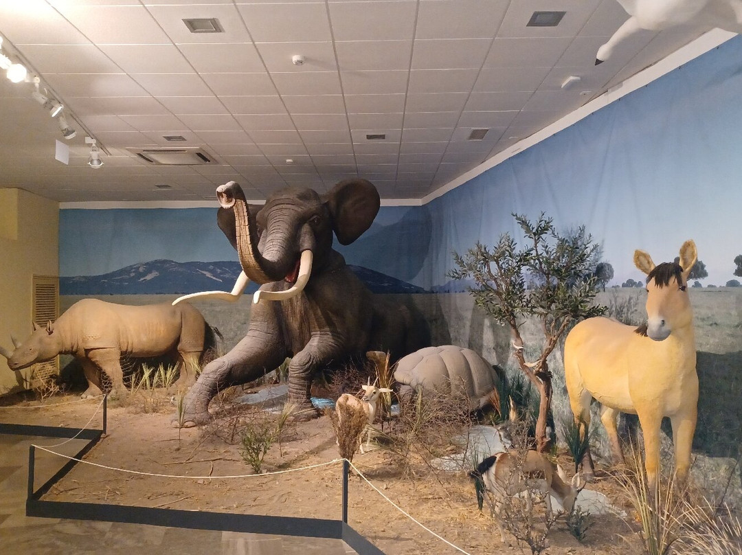 Museo Provincial-雷阿尔城必去景点