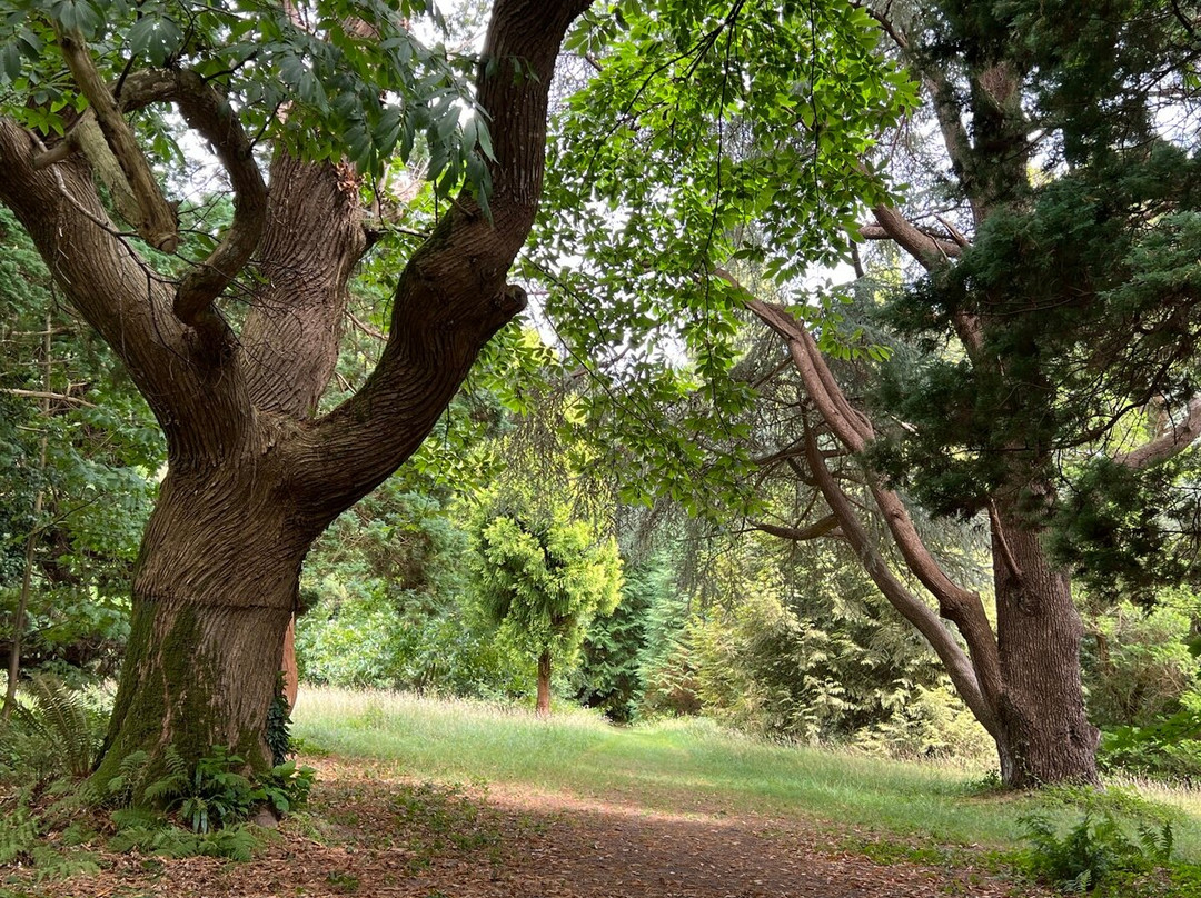 L'Épopée des Sens - Château de Martinvast