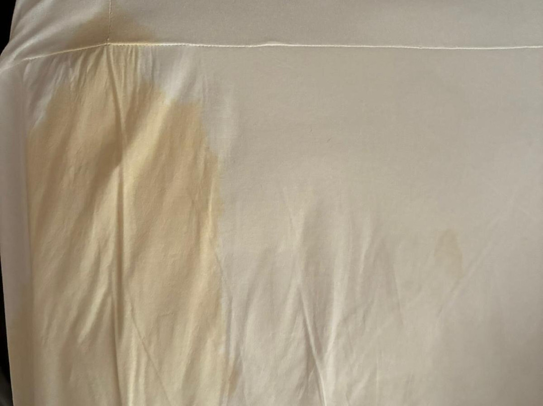 新罕布什尔斯图加特机场店主图