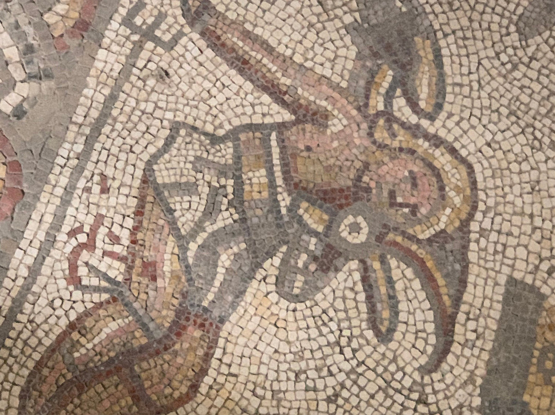 Bignor Roman Villa-Bignor必去景点