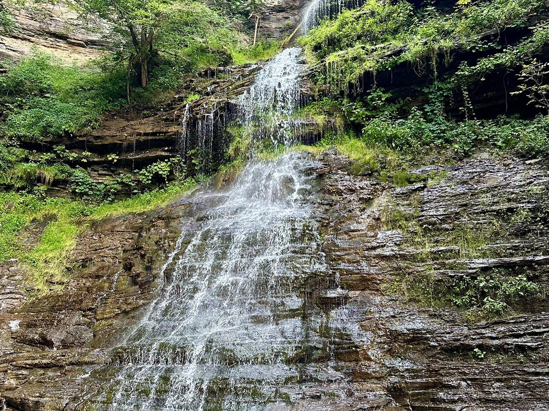 Cathedral Falls-Gauley Bridge必去景点