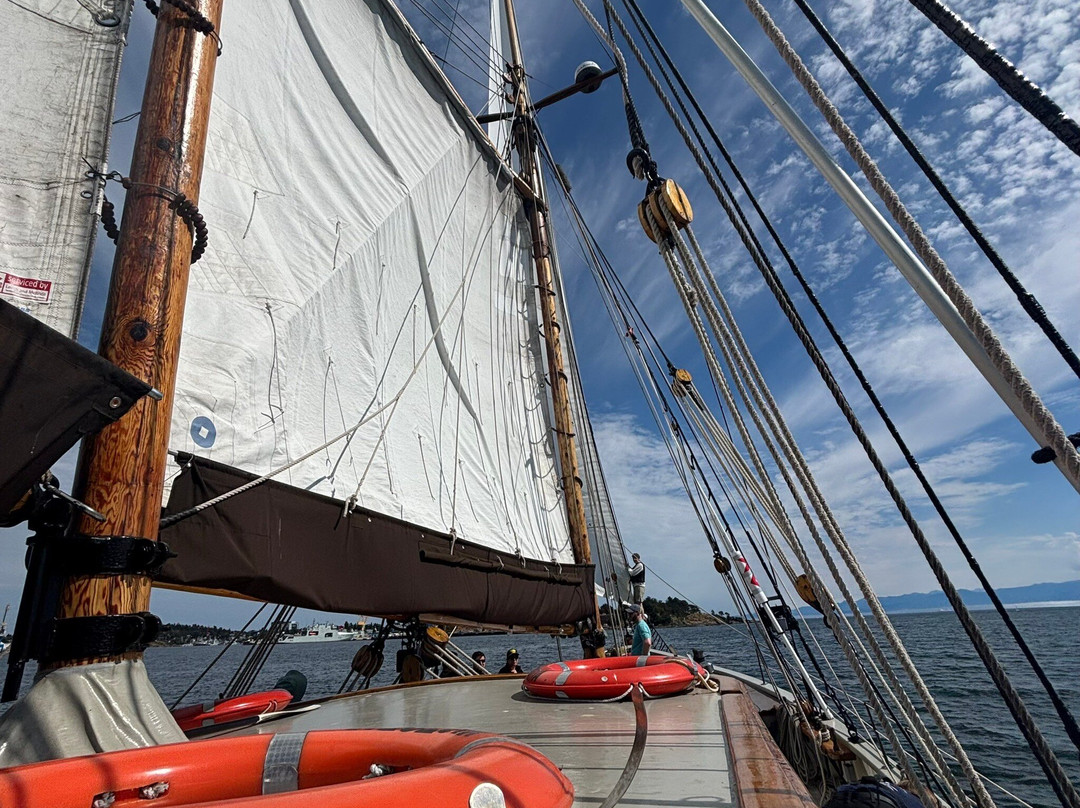 3-Hour Sail-维多利亚必去景点