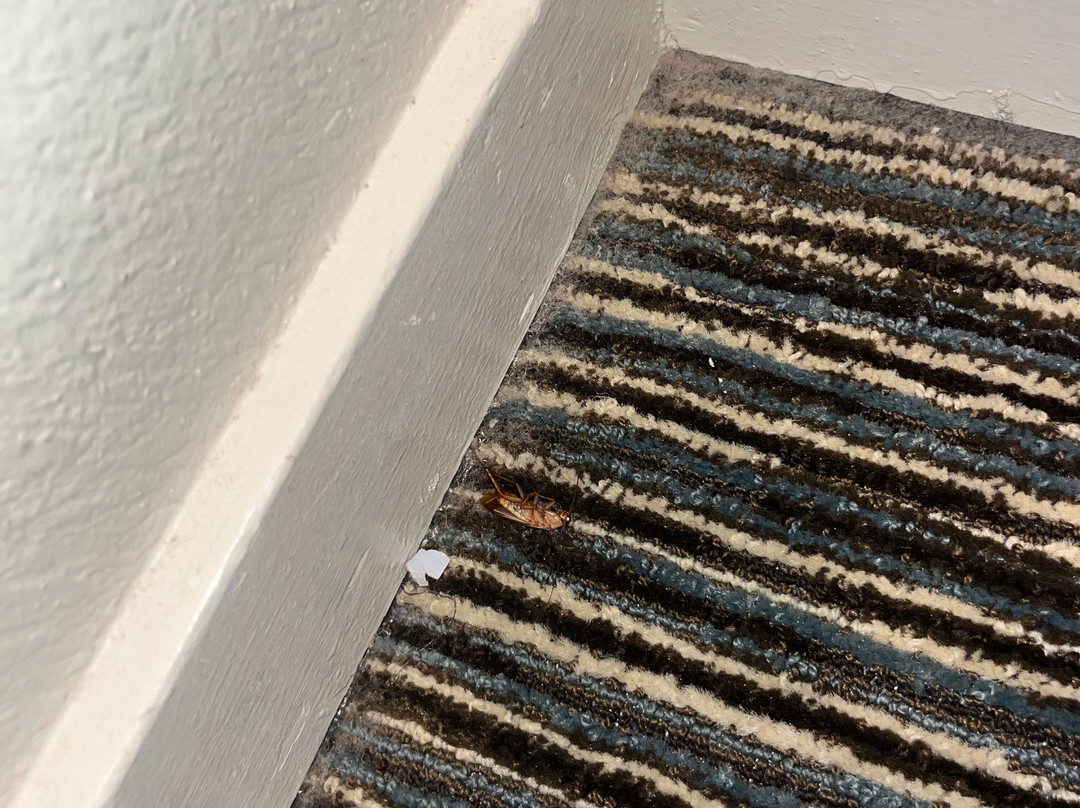 普莱森顿凯悦酒店主图