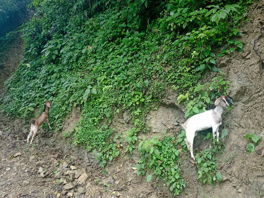 Chinde Dada View Tower-Dharan必去景点