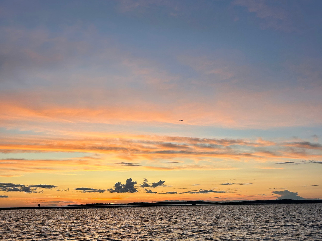 Burin Dolphin excursion Pula-普拉必去景点