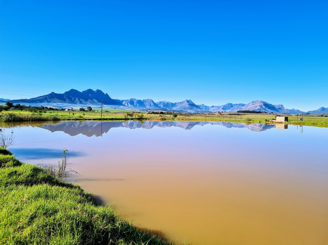 Equine Sport Centre-斯泰伦博斯必去景点