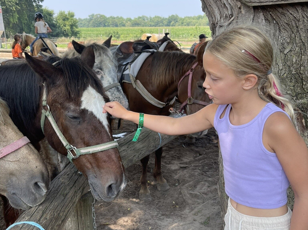 Stony Lake Stables-New Era必去景点