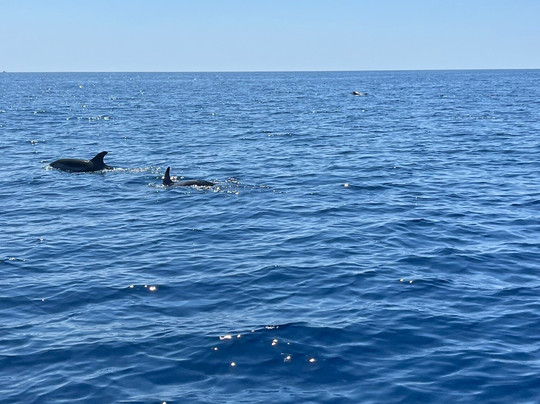 Taras Sub - Diving Center-塔兰托必去景点