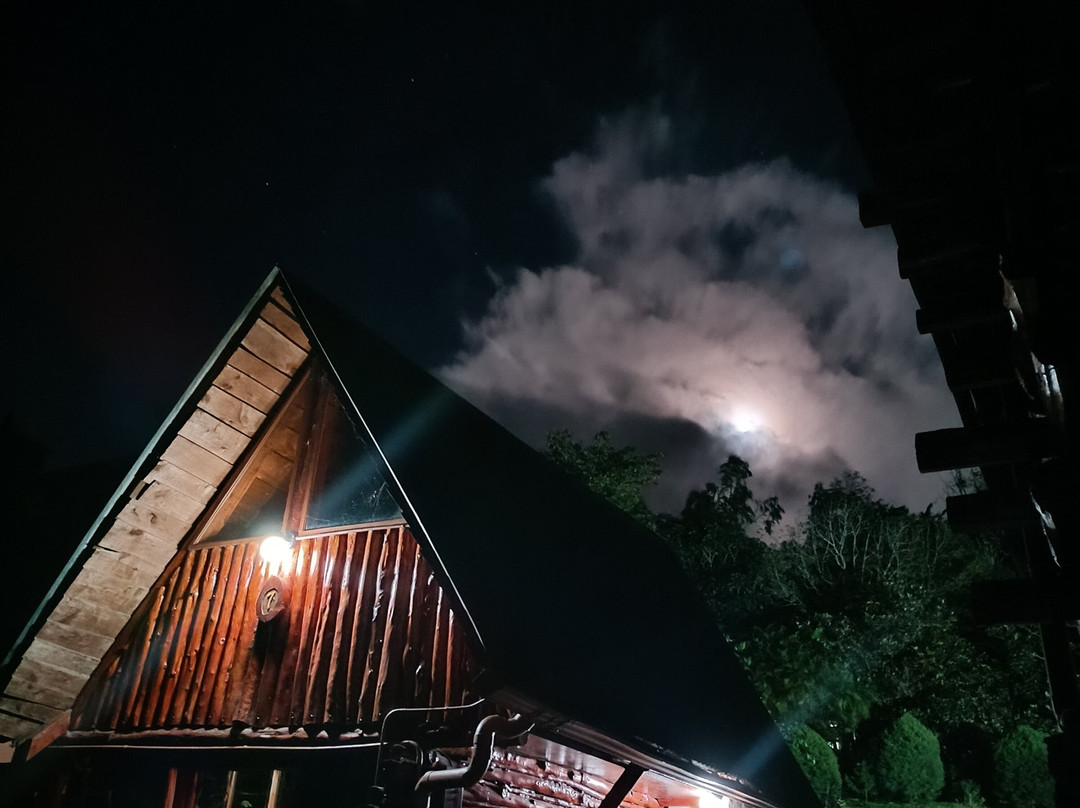 Cabañas Las Ardillas主图