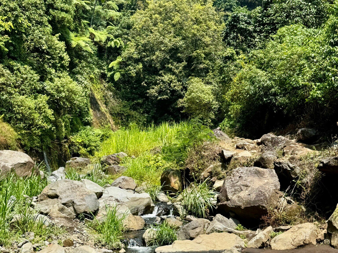 Madakaripura Waterfall-庞越必去景点