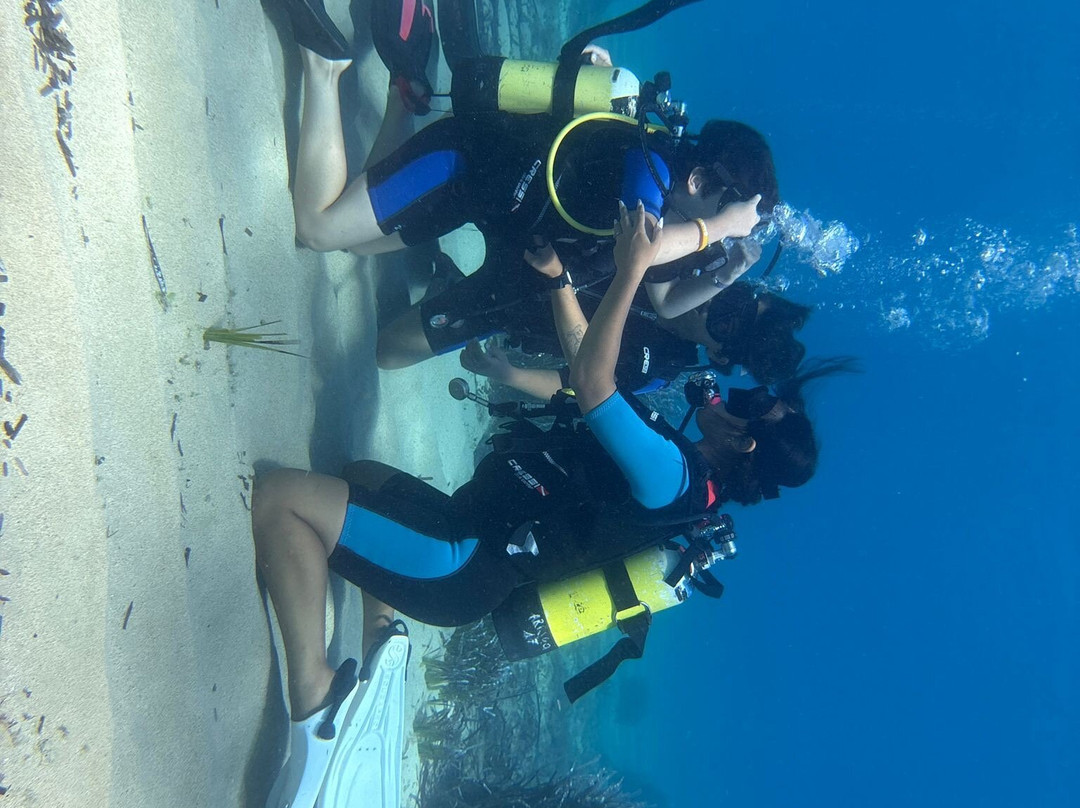 ProgettoSub 5 Star PADI Resort-Geremeas必去景点