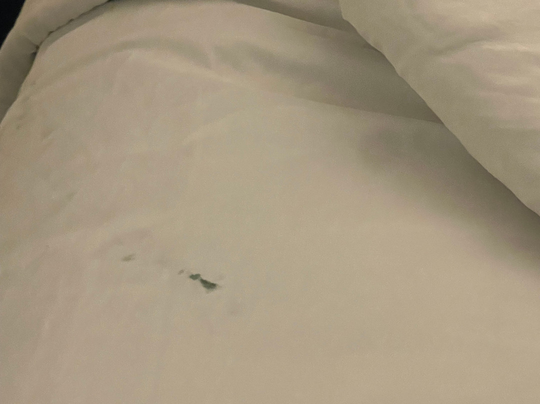 Quality Inn and Conference Center主图