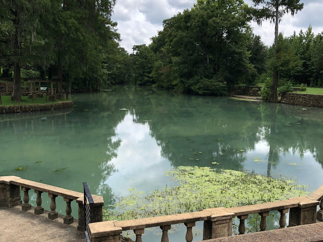 Radium Springs Gardens-奥尔巴尼必去景点