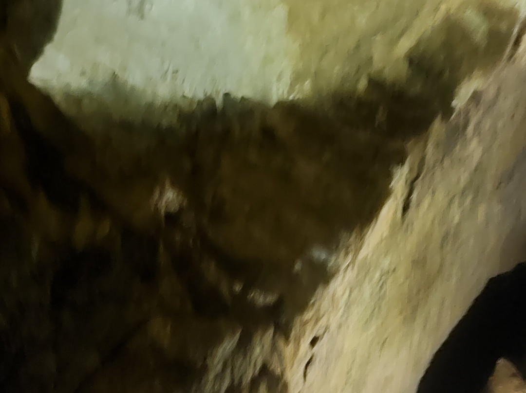 Labouiche-Occitanie必去景点