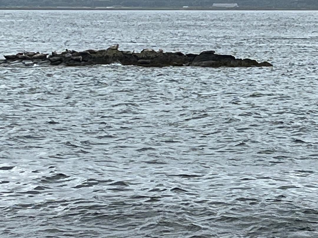 Little Cumbrae-The Cumbraes必去景点