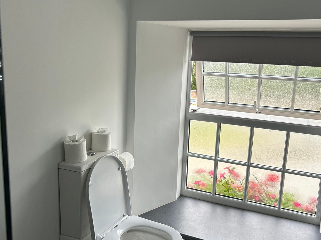 The Wolfe Inn Wolfscastle主图