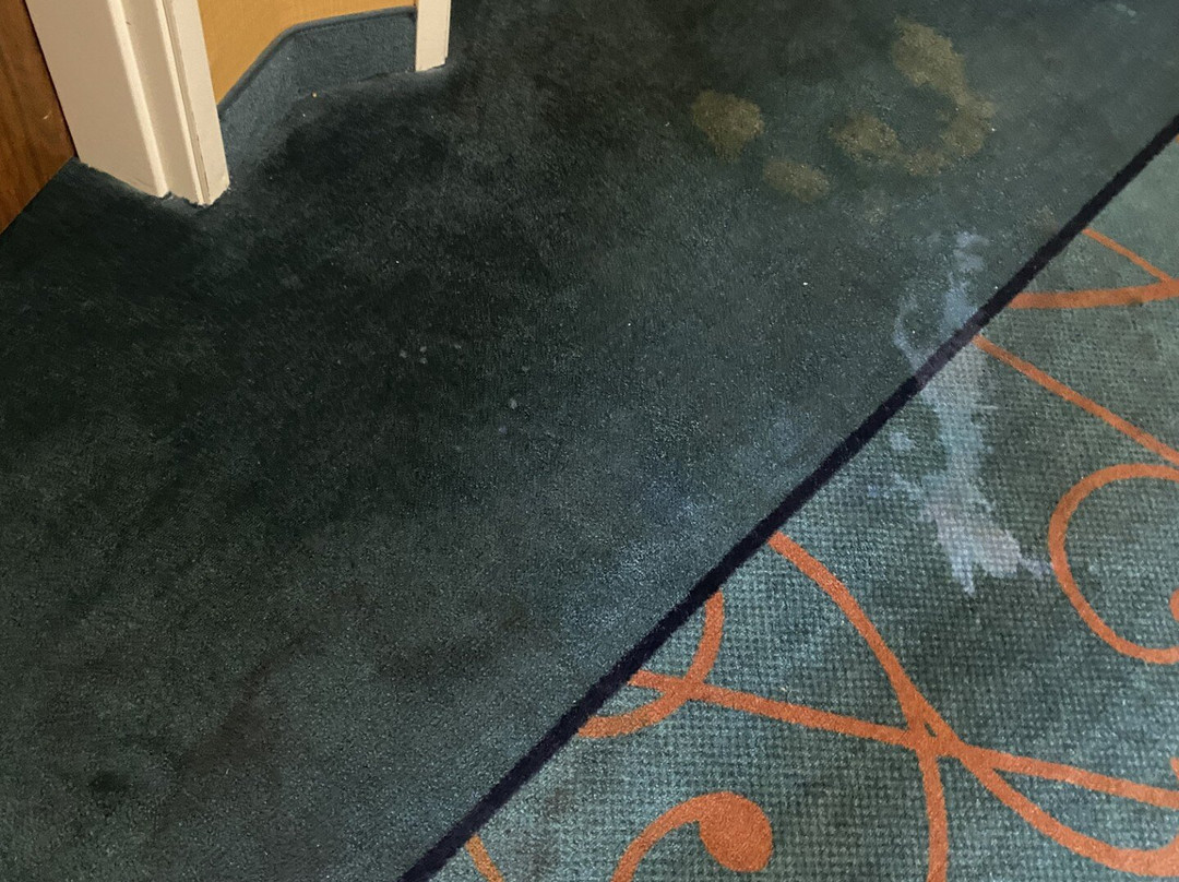 Comfort Suites Texarkana Arkansas主图