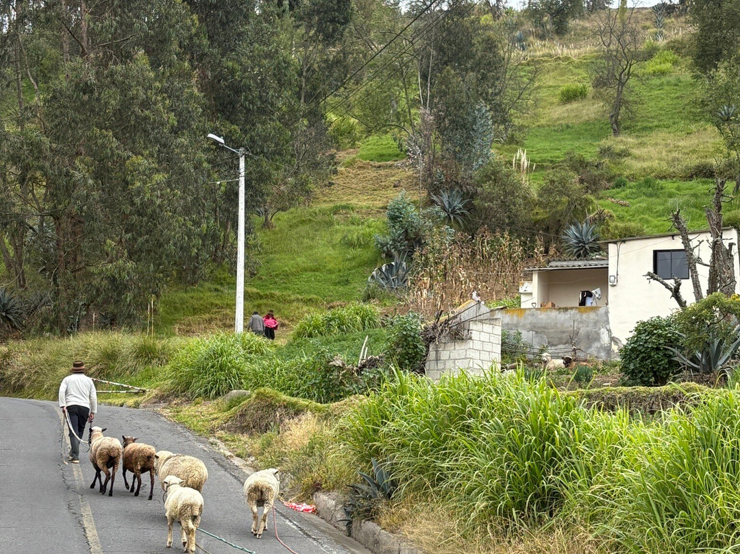Turismo Comunitario Salasaka-Salasaca必去景点