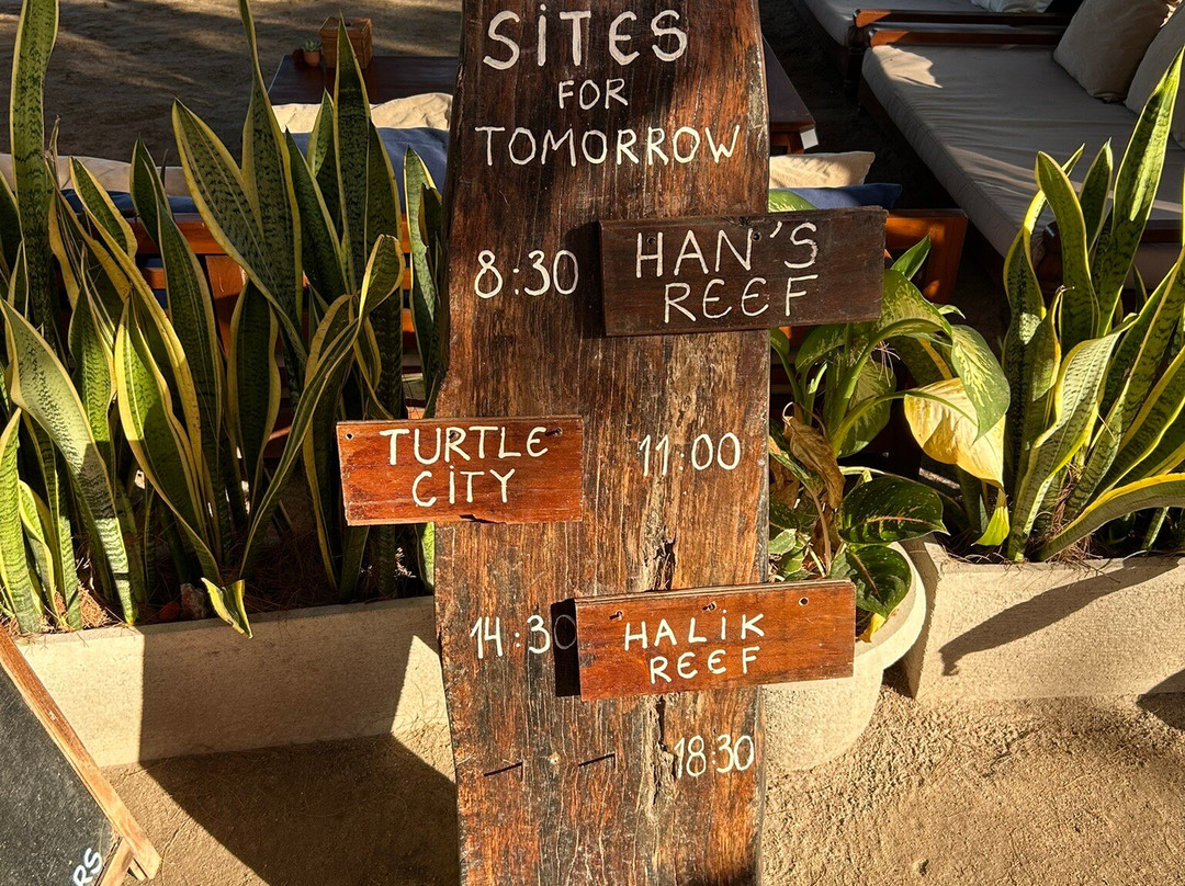 Divine Divers-Gili Meno必去景点