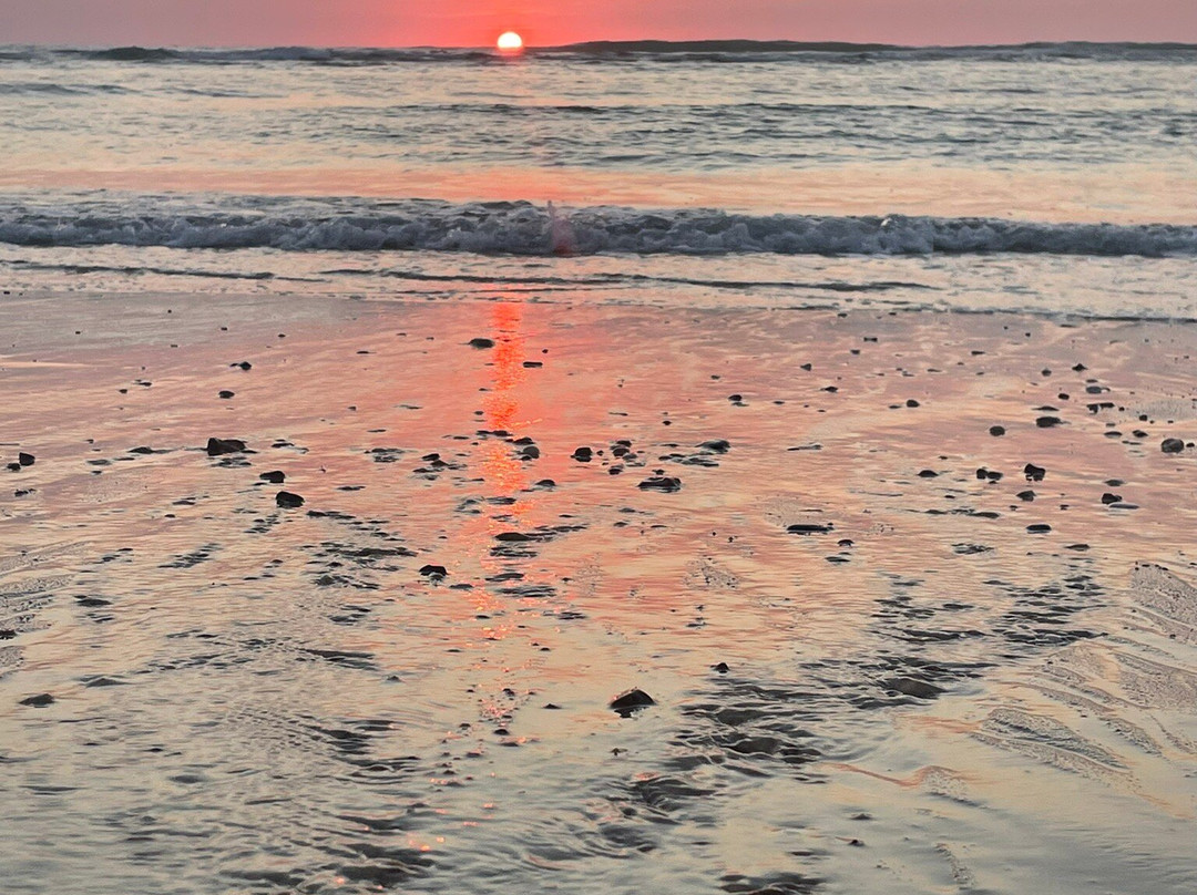 Plage de Moliets-Moliets et Maa必去景点