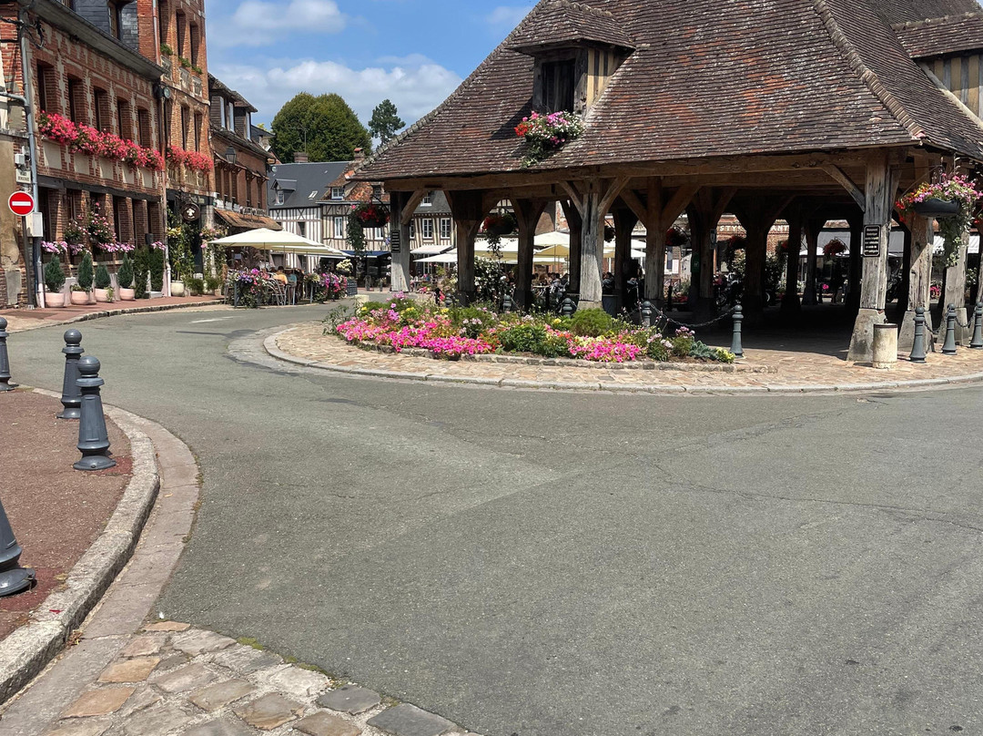 Hôtel Le Grand Cerf主图