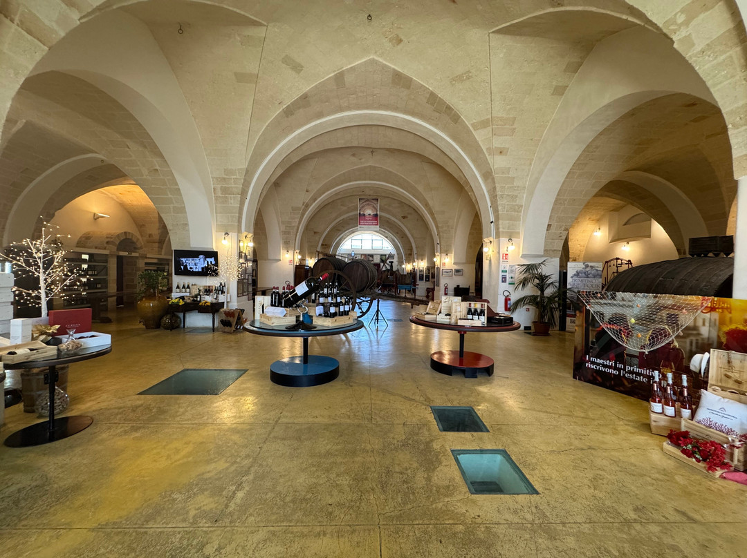 Museo della Civilta del Vino Primitivo-Manduria必去景点