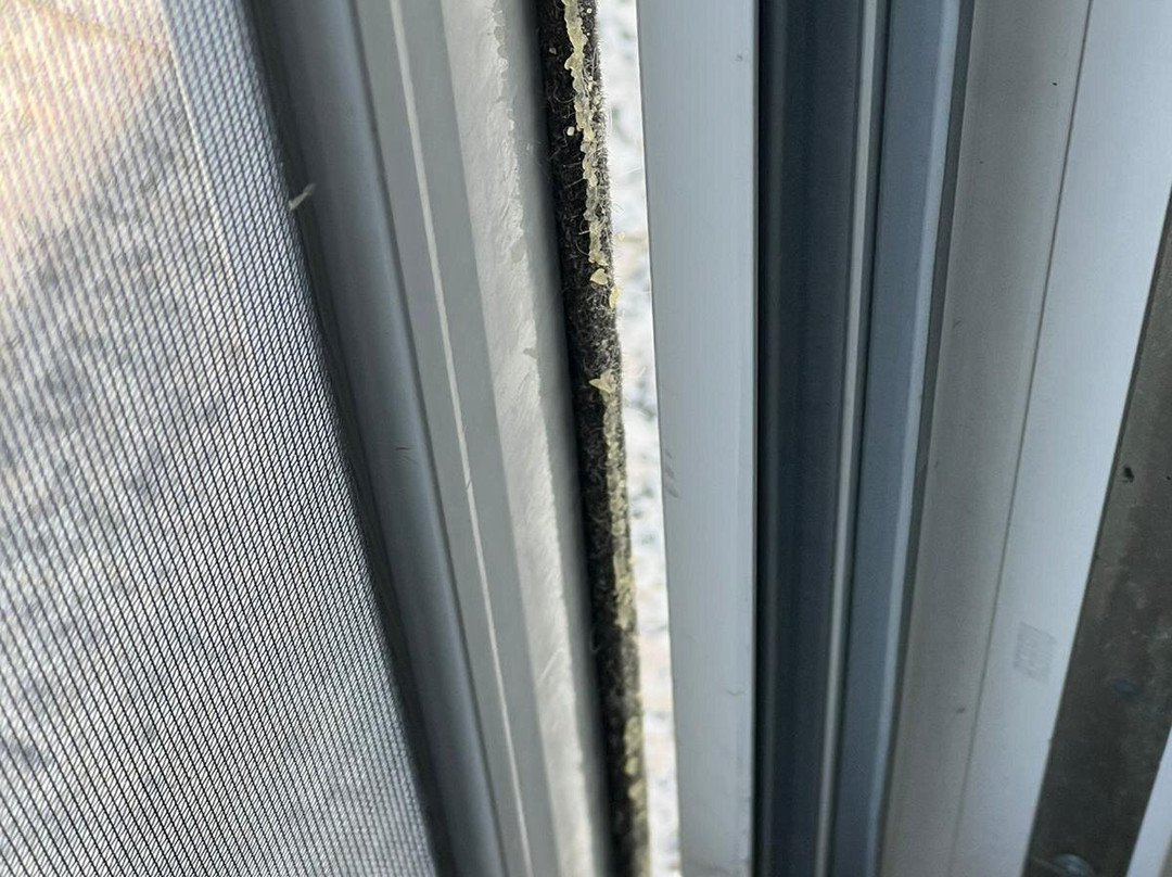 Hotel ChiemseePanorama主图