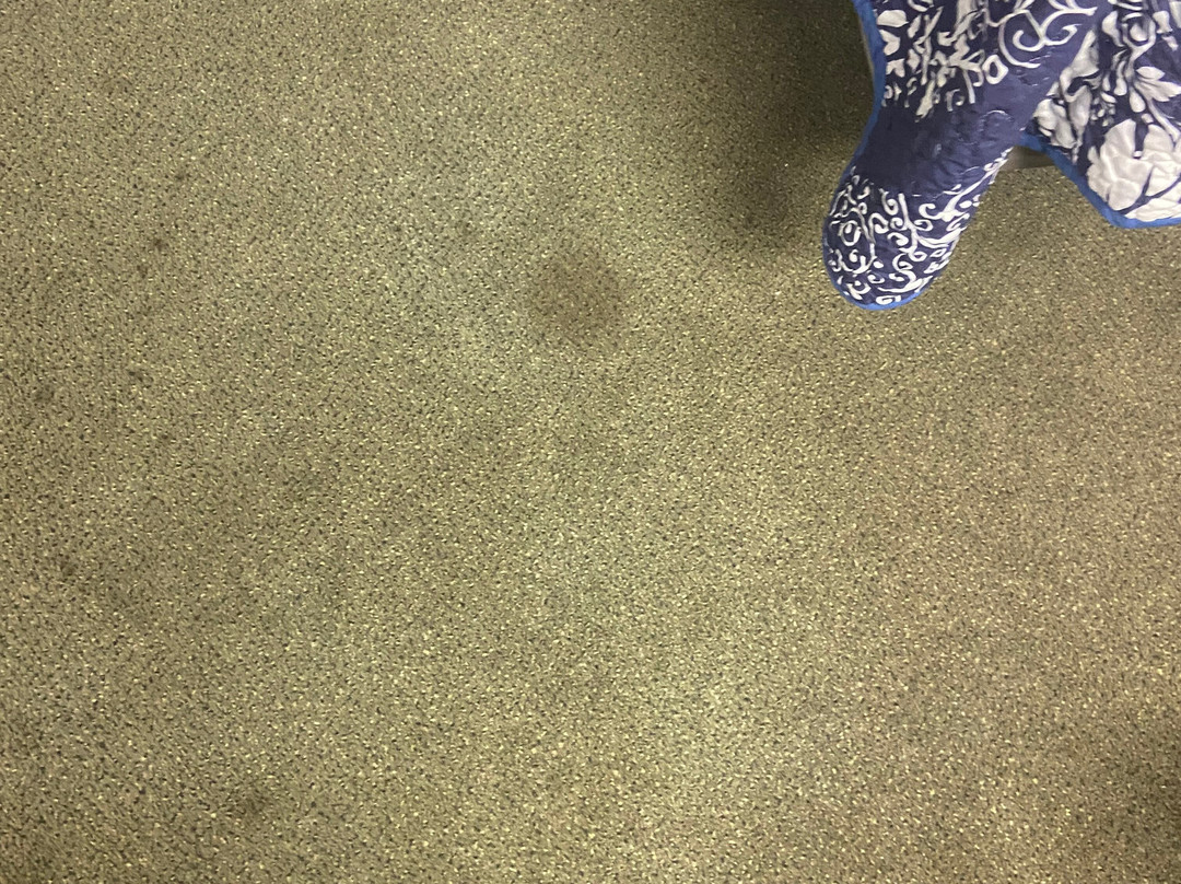 Mount Blue Motel主图