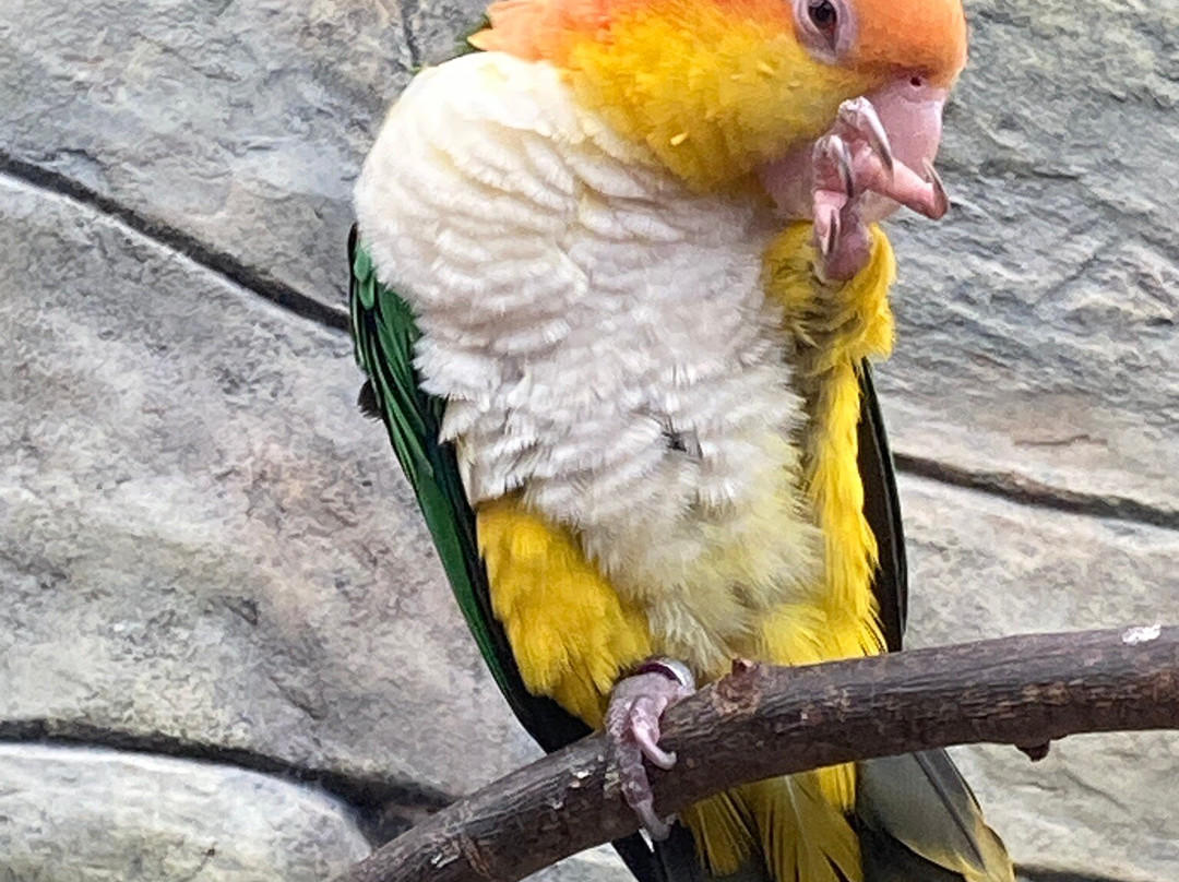 Berkenhof Tropical Zoo-Kwadendamme必去景点