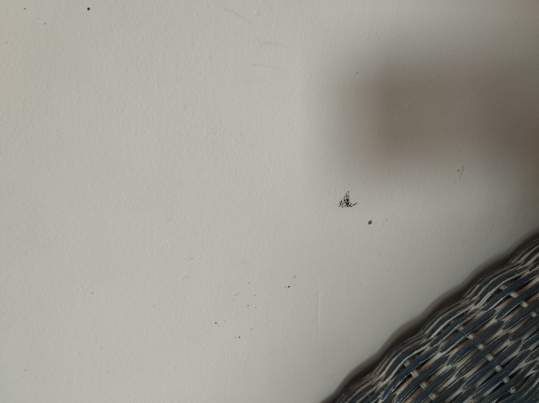 Hotel Comarruga Platja主图